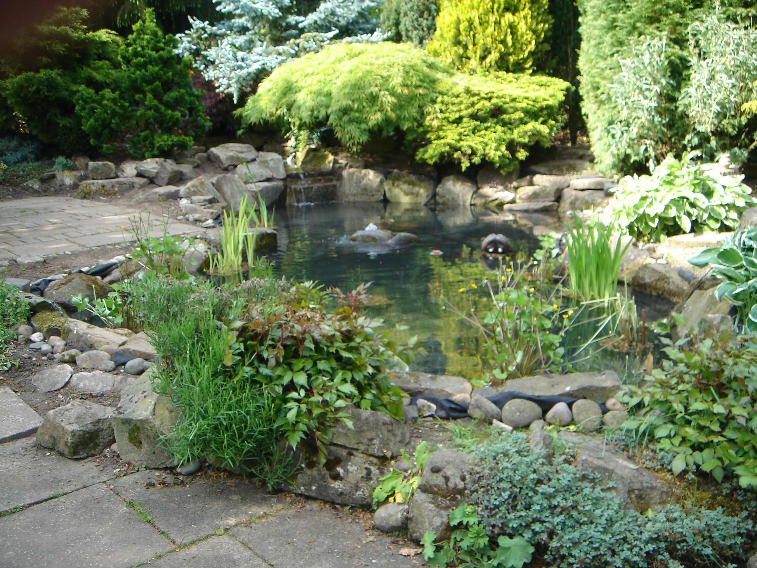 Large wildlife pond with smaller top pool in Bowdon.