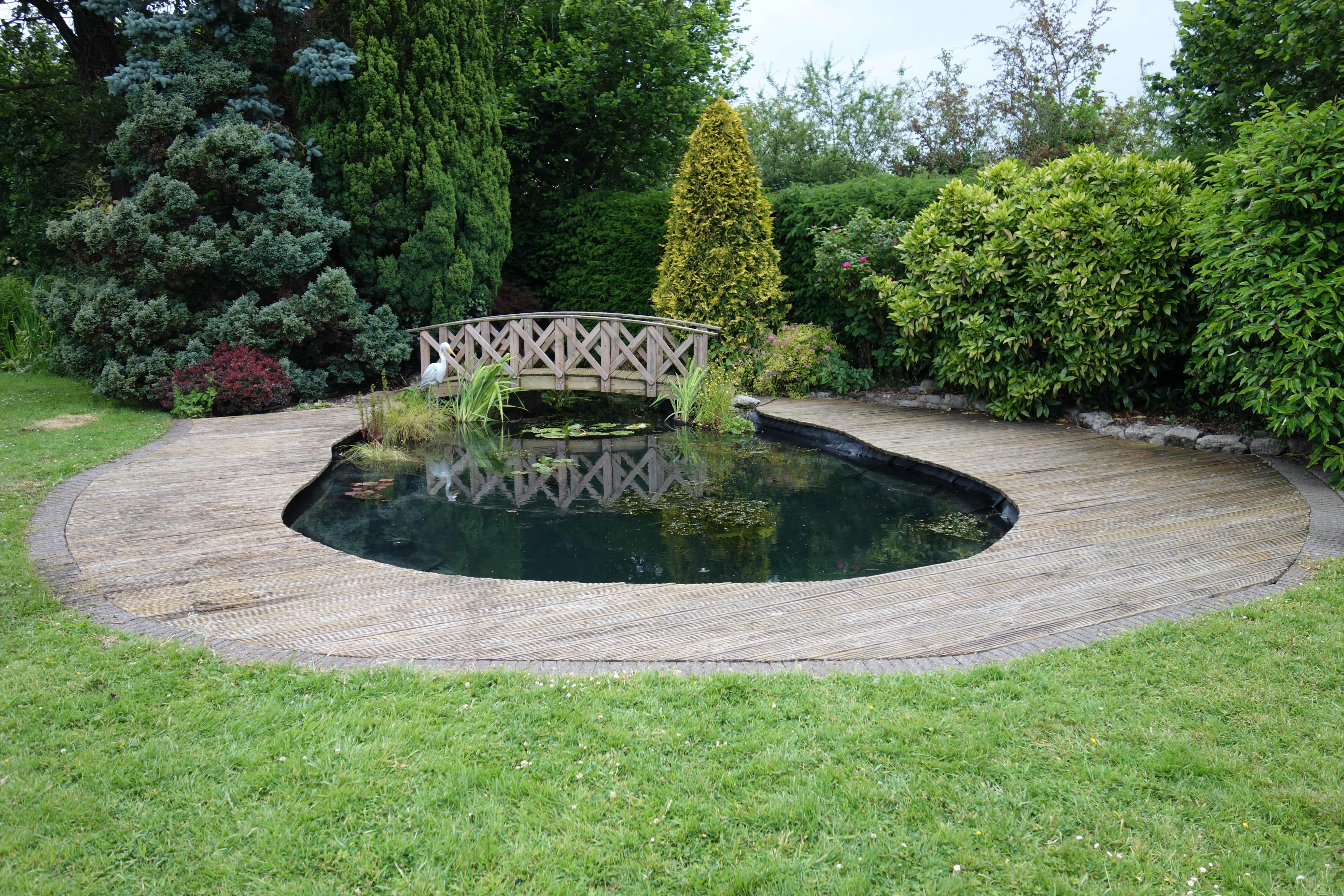 Planted wildlife pond with bridge in Clitheroe.