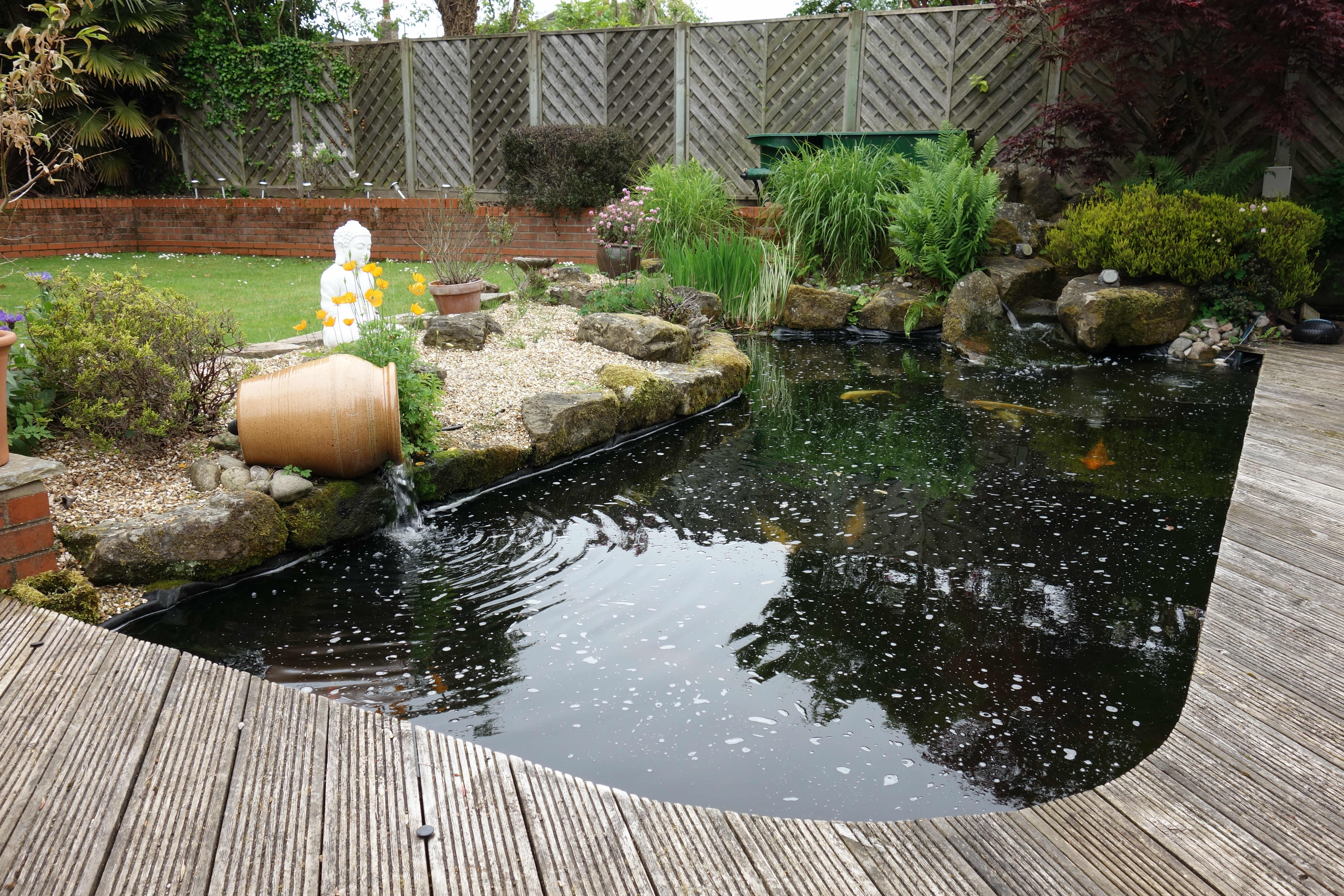 Koi carp pool with chamber filter in Ormskirk.