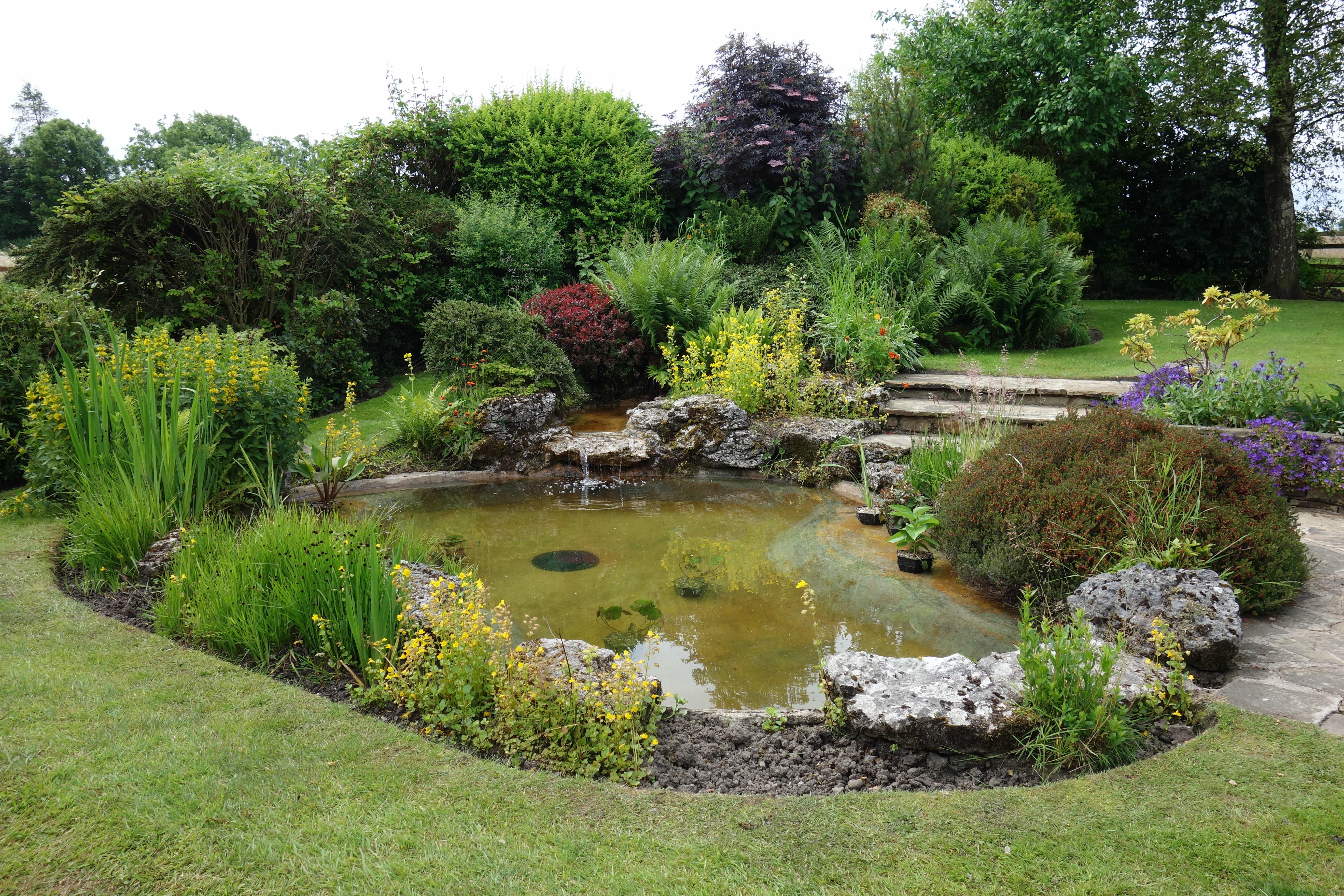 Planted pond with bottom drain and waterfall in Clitheroe.