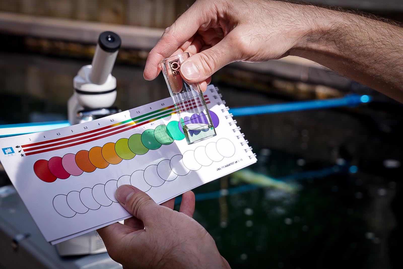 Pond expert testing the pH of a water sample, as part of a water quality testing service.